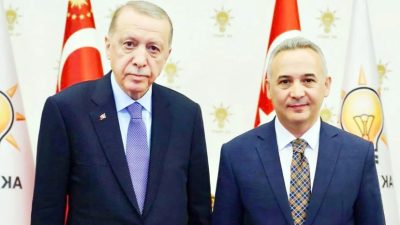 AK Parti Ekonomi İşleri Başkan Yardımcılığı görevine, Ekonomist ve Mali